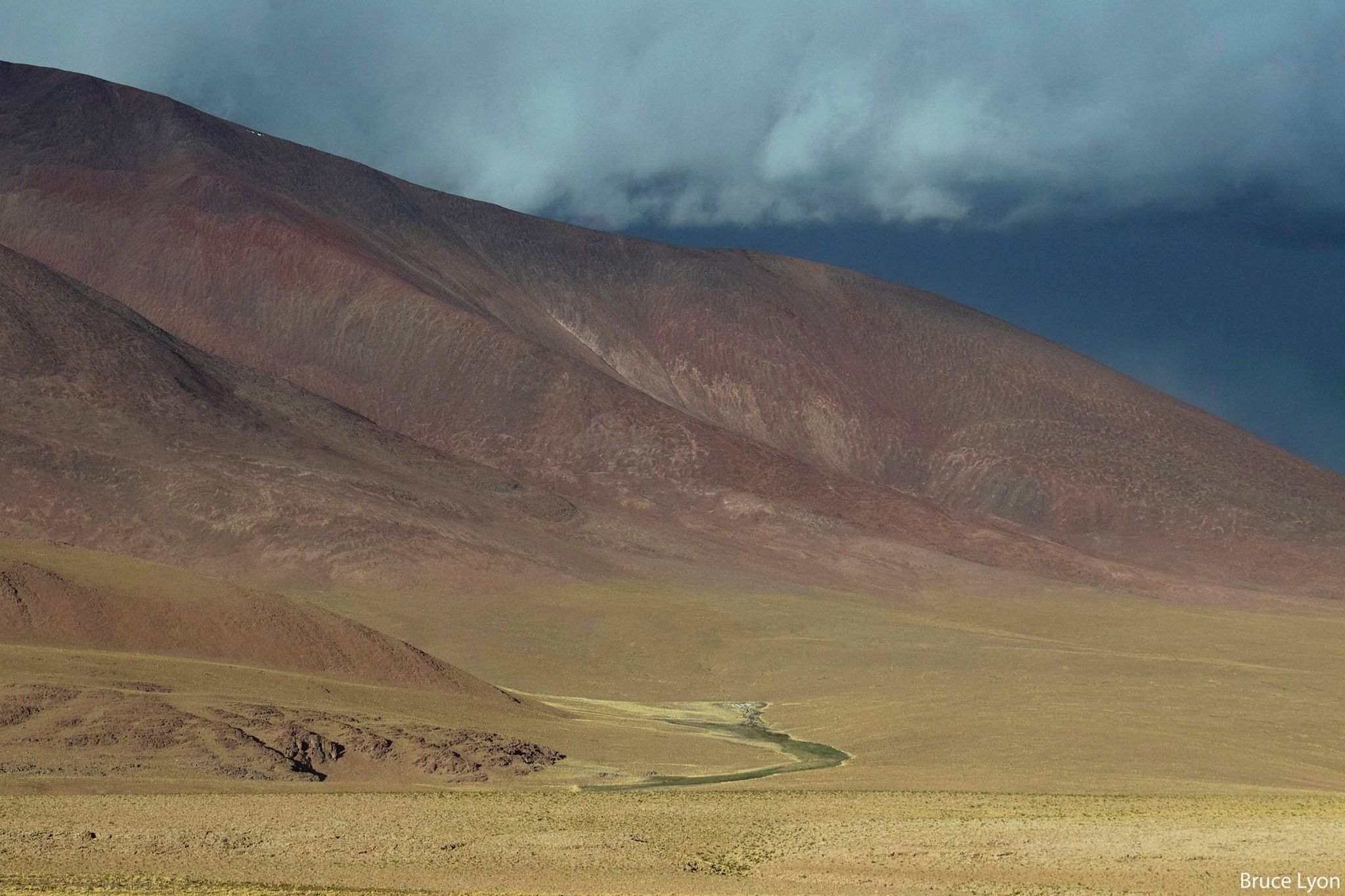 Una vega dibuja una cinta verde en el fondo de un valle árido, bajo un cielo de tormenta.